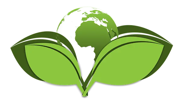 Green-Cleaning--in-Phoenix-Arizona-Green-Cleaning-3604662-image