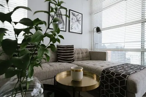 Upholstery-Cleaning--in-Phoenix-Arizona-Upholstery-Cleaning-3610008-image