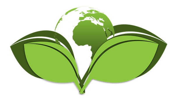 Green-Cleaning--in-Charlotte-North-Carolina-green-cleaning-charlotte-north-carolina.jpg-image