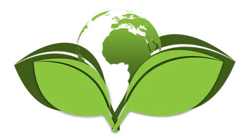 Green-Cleaning--in-Chicago-Illinois-green-cleaning-chicago-illinois.jpg-image